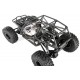 Wraith Jeep Wrangler RTR Poison spider - Axial