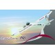 Planeur RR EasyGlider PRO electrique